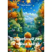 Постер книги Волшебный лес и тайна звёзд