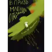 Постер книги В приземлении отказано