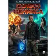 Постер книги Колесо феникса
