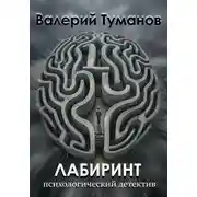 Постер книги Лабиринт