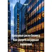 Постер книги Налоговые риски бизнеса. Как увидеть их раньше налоговой