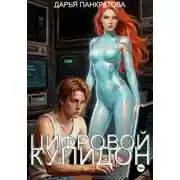 Постер книги Цифровой Купидон