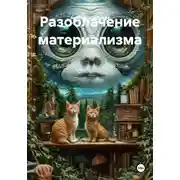 Постер книги Разоблачение материализма