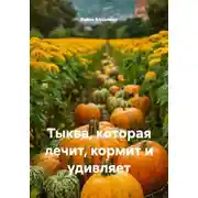 Постер книги Тыква, которая лечит, кормит и удивляет