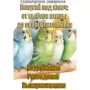 Постер книги Попугай под ключ: от выбора птицы до своего питомника