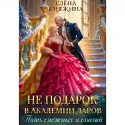 Постер книги Не подарок в Академии даров. Пять снежных иллюзий