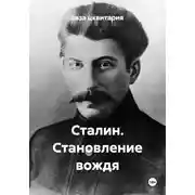 Постер книги Сталин. Становление вождя