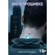Постер книги Эхо в прошивке
