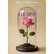 Постер книги Не зря