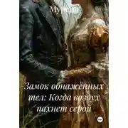 Постер книги Замок обнажённых тел: Когда воздух пахнет серой