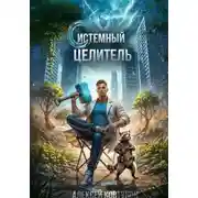 Постер книги Системный целитель 4