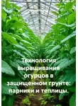 Война Владимир - Технология выращивания огурцов в защищенном грунте: парники и теплицы