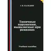 Постер книги Типичные нарушения, выявляемые при ревизиях