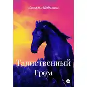 Постер книги Таинственный Гром