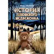 Постер книги История плюшевого медвежонка