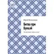 Постер книги Битва при Бунъэй. Что же может пойти не так?