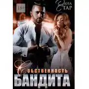 Постер книги Собственность бандита