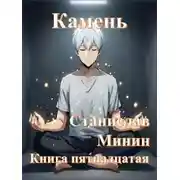Постер книги Камень. Книга 15