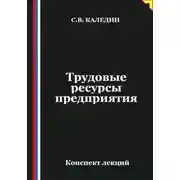 Постер книги Трудовые ресурсы предприятия