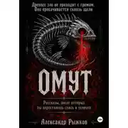 Постер книги Омут