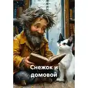 Постер книги Снежок и домовой