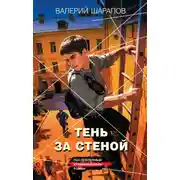 Постер книги Тень за стеной