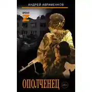 Постер книги Ополченец