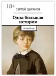 Сергей Цыганов - Одна большая история. Оружейник