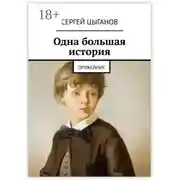 Постер книги Одна большая история. Оружейник