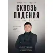 Постер книги Сквозь падения к полету