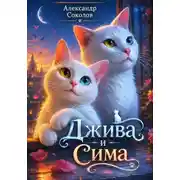 Постер книги Джива и Сима
