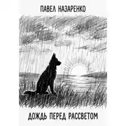 Постер книги Дождь перед рассветом