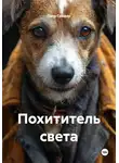 Петр Сойфер - Похититель света