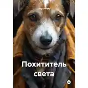 Постер книги Похититель света