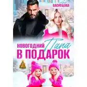 Постер книги Новогодний папа в подарок