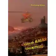 Постер книги Сквозь пламя сражений