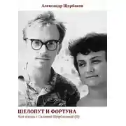 Постер книги Шелопут и фортуна