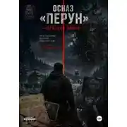 Постер книги ОСНАЗ «Перун»: Красная линия