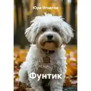 Постер книги Фунтик