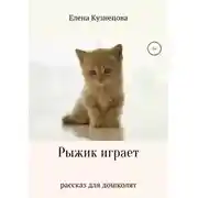 Постер книги Рыжик играет