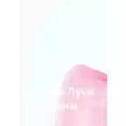 Постер книги Яркие Лучи Луны