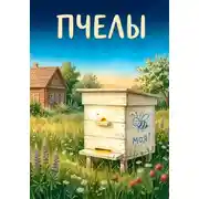 Постер книги Пчелы