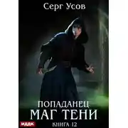 Постер книги Попаданец. Маг Тени. Книга 12
