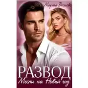 Постер книги Развод. Месть на новый год
