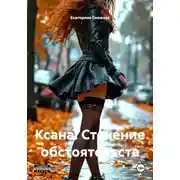 Постер книги Ксана. Стечение обстоятельств