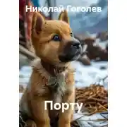 Постер книги Порту
