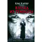Постер книги Взгляд из темноты