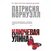 Постер книги Ключевая улика