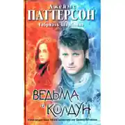 Постер книги Ведьма и колдун