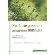 Постер книги Хвойные растения дендрария ВНИИСПК. Биология, агротехника, сорта. Справочник